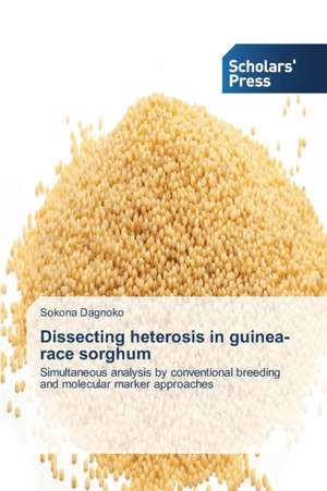 Dissecting heterosis in guinea-race sorghum de Sokona Dagnoko