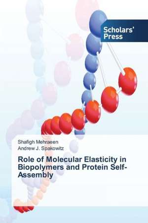 Role of Molecular Elasticity in Biopolymers and Protein Self-Assembly de Shafigh Mehraeen