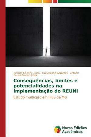 Consequencias, Limites E Potencialidades Na Implementacao Do Reuni