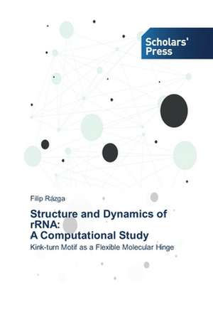 Structure and Dynamics of Rrna: A Computational Study de Filip Rázga