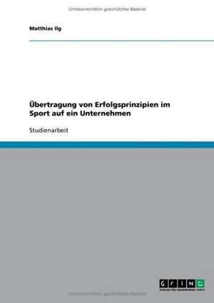 Übertragung von Erfolgsprinzipien im Sport auf ein Unternehmen de Matthias Ilg