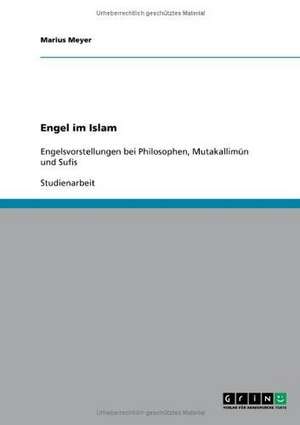 Engel im Islam de Marius Meyer