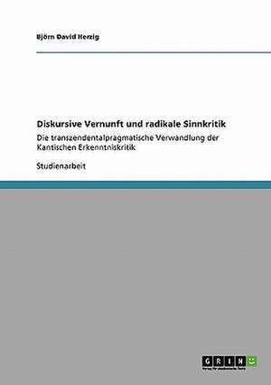 Diskursive Vernunft und radikale Sinnkritik de Björn David Herzig