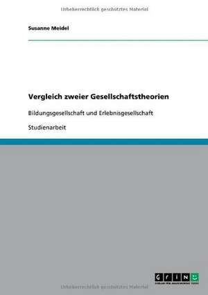 Vergleich zweier Gesellschaftstheorien de Susanne Meidel