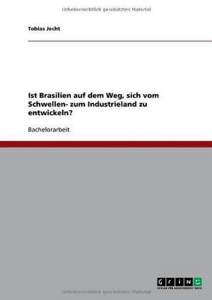 Ist Brasilien auf dem Weg, sich vom Schwellen- zum Industrieland zu entwickeln? de Tobias Jecht