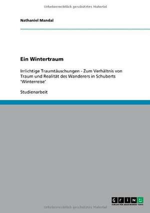 Ein Wintertraum. Das Verhältnis von Traum und Realität des Wanderers in Schuberts 'Winterreise' de Nathaniel Mandal