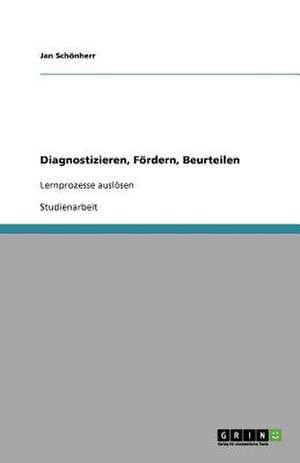 Diagnostizieren, Fördern, Beurteilen de Jan Schönherr