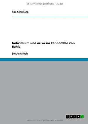 Individuum und orixá im Candomblé von Bahia de Kira Gehrmann