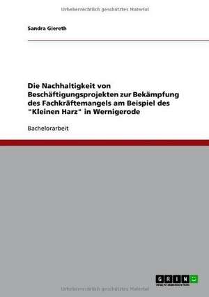 Die Nachhaltigkeit von Beschäftigungsprojekten zur Bekämpfung des Fachkräftemangels am Beispiel des "Kleinen Harz" in Wernigerode de Sandra Giereth