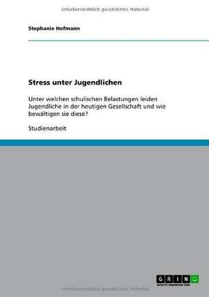 Stress unter Jugendlichen de Stephanie Hofmann