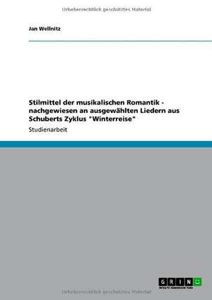 Stilmittel der musikalischen Romantik - nachgewiesen an ausgewählten Liedern aus Schuberts Zyklus "Winterreise" de Jan Wellnitz