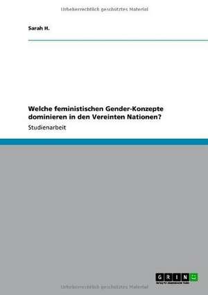 Welche feministischen Gender-Konzepte dominieren in den Vereinten Nationen? de Sarah H.