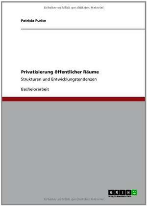 Privatisierung öffentlicher Räume de Patricia Purice