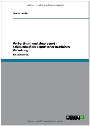 Vorbestimmt und abgesegnet - Schleiermachers Begriff einer göttlichen Vorsehung de Ferenc Herzig