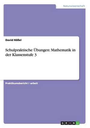 Schulpraktische Übungen: Mathematik in der Klassenstufe 3 de David Hößel