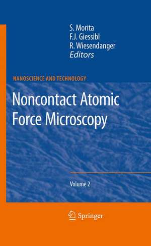 Noncontact Atomic Force Microscopy: Volume 2 de Seizo Morita