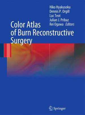 Color Atlas of Burn Reconstructive Surgery de Hiko Hyakusoku