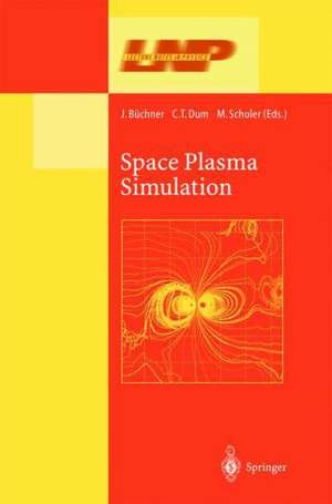 Space Plasma Simulation de Jörg Büchner