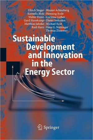 Sustainable Development and Innovation in the Energy Sector de Ulrich Steger