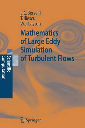 Mathematics of Large Eddy Simulation of Turbulent Flows de Luigi Carlo Berselli