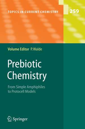 Prebiotic Chemistry: From Simple Amphiphiles to Protocell Models de Peter Walde