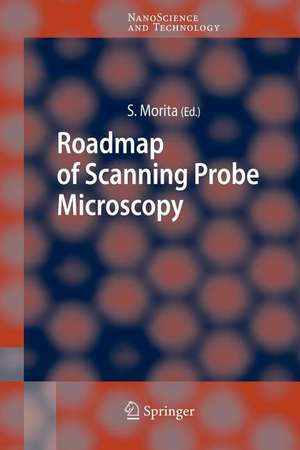 Roadmap of Scanning Probe Microscopy de Seizo Morita