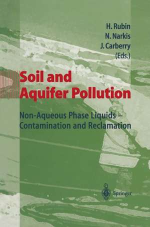 Soil and Aquifer Pollution: Non-Aqueous Phase Liquids - Contamination and Reclamation de Hillel Rubin