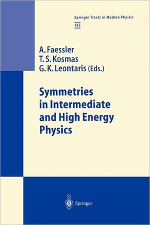 Symmetries in Intermediate and High Energy Physics de A. Faessler