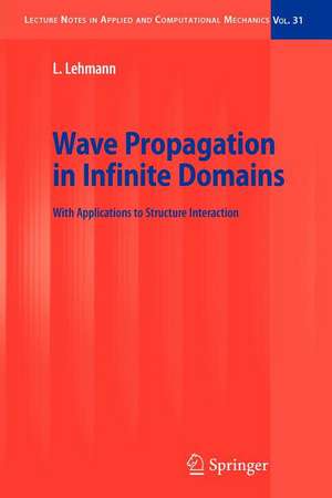 Wave Propagation in Infinite Domains: With Applications to Structure Interaction de Lutz Lehmann