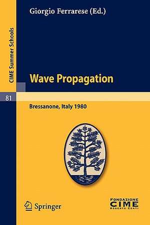 Wave Propagation: Lectures given at a Summer School of the Centro Internazionale Matematico Estivo (C.I.M.E.) held in Bressanone (Bolzano), Italy, June 8-17, 1980 de Giorgio Ferrarese