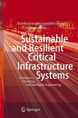 Sustainable and Resilient Critical Infrastructure Systems: Simulation, Modeling, and Intelligent Engineering de Kasthurirangan Gopalakrishnan