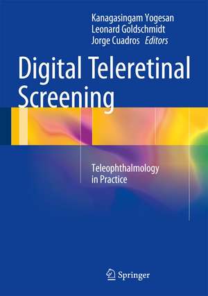 Digital Teleretinal Screening: Teleophthalmology in Practice de Kanagasingam Yogesan