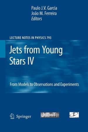 Jets from Young Stars IV: From Models to Observations and Experiments de Paulo Jorge Valente Garcia