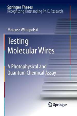 Testing Molecular Wires: A Photophysical and Quantum Chemical Assay de Mateusz Wielopolski