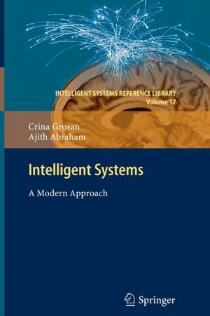 Intelligent Systems: A Modern Approach de Crina Grosan