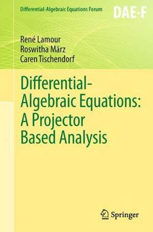 Differential-Algebraic Equations: A Projector Based Analysis de René Lamour