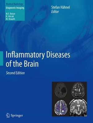 Inflammatory Diseases of the Brain de Stefan Hähnel