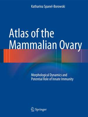 Atlas of the Mammalian Ovary: Morphological Dynamics and Potential Role of Innate Immunity de Katharina Spanel-Borowski