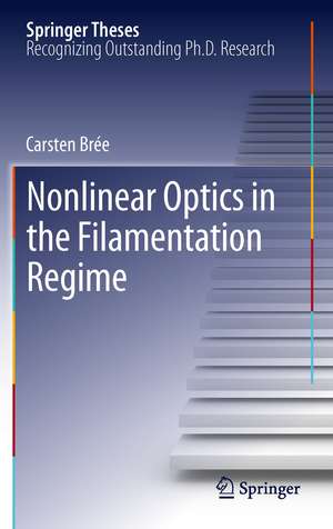 Nonlinear Optics in the Filamentation Regime de Carsten Brée