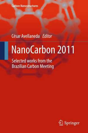 NanoCarbon 2011: Selected works from the Brazilian Carbon Meeting de César Avellaneda