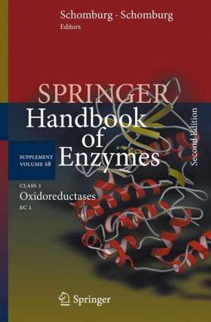 Class 1 Oxidoreductases: EC 1 de Dietmar Schomburg