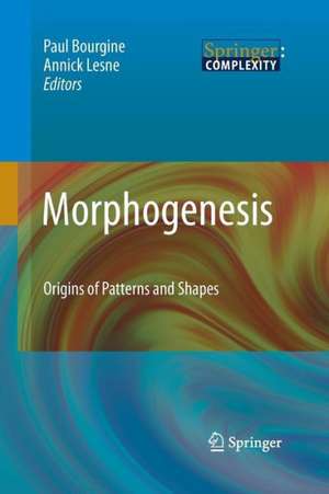 Morphogenesis: Origins of Patterns and Shapes de Paul Bourgine