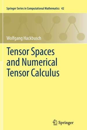 Tensor Spaces and Numerical Tensor Calculus de Wolfgang Hackbusch