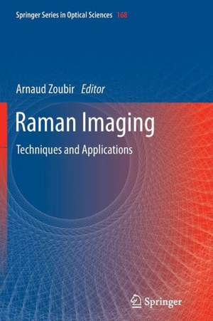 Raman Imaging: Techniques and Applications de Arnaud Zoubir