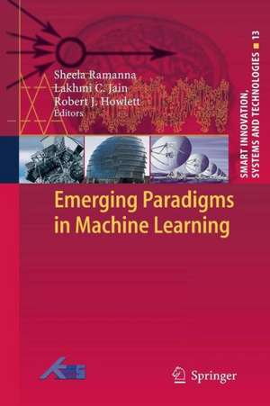 Emerging Paradigms in Machine Learning de Sheela Ramanna