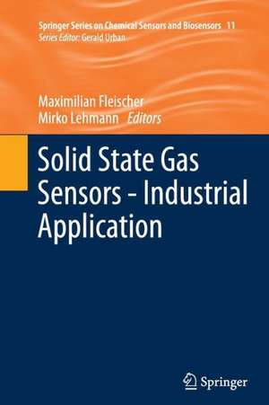 Solid State Gas Sensors - Industrial Application de Maximilian Fleischer