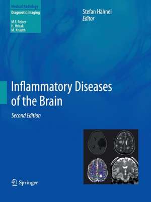 Inflammatory Diseases of the Brain de Stefan Hähnel