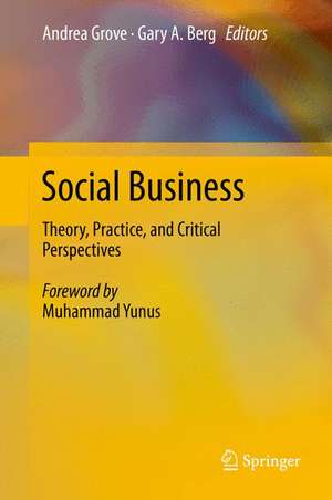 Social Business: Theory, Practice, and Critical Perspectives de Andrea Grove