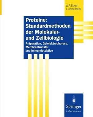 Proteine: Standardmethoden der Molekular- und Zellbiologie: Präparation, Gelelektrophorese, Membrantransfer und Immundetektion de Werner A. Eckert