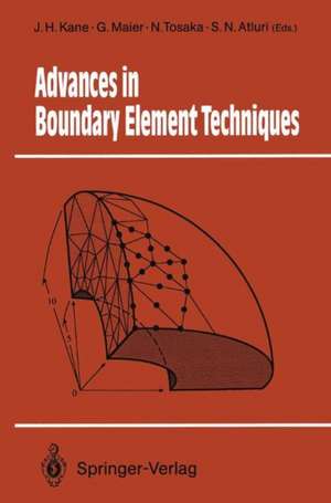 Advances in Boundary Element Techniques de James H. Kane